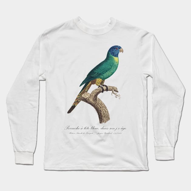 Rainbow Lorikeet juvenile / Perruche a tete bleue jeune age - 19th century Jacques Barraband Illustration Long Sleeve T-Shirt by SPJE Illustration Photography